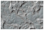 Monitoring of South Polar Residual Cap Albedo Features
