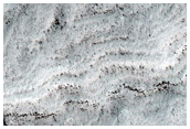 South Polar Residual Cap Intraseasonal Change Monitoring
