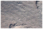 Spiders on Crater Ejecta
