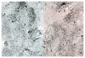 Spider Terrain Not on South Polar Layered Deposits
