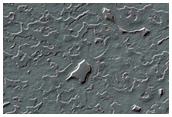South Polar Residual Cap Intraseasonal Change Monitoring
