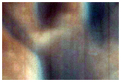 USGS Dune Database Entry Number 2646-575
