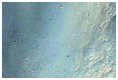 Apex of Narrow Fan
