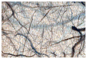 Dark Filamentary Streak Monitoring Site in Promethei Terra
