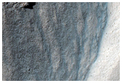 Gully Monitoring
