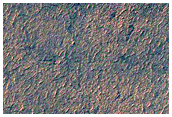 Spider Terrain Not on South Polar Layered Deposits
