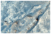 Ridges in Meridiani Planum
