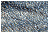 Bizarre Terrain on Hellas Planitia Floor
