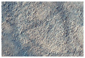 High-Latitude Plain
