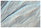 Gully Monitoring
