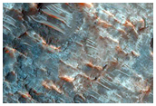 Channels and Fans in Savich Crater
