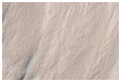 Gullied Polar Pits
