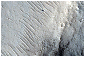 Candidate Impact Site
