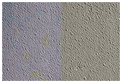 Candidate Impact Site
