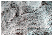 South Polar Residual Cap Intraseasonal Change Monitoring
