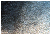 Terrain Sample
