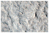 Candidate Landing Site for 2020 Mission
