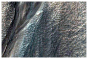 Gully Monitoring
