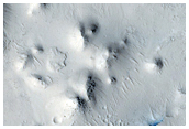Lava in Elysium Planitia
