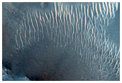 Nili Fossae
