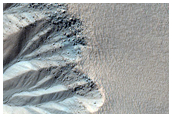 Gully Monitoring
