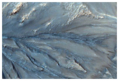 Slope Features in Palikir Crater
