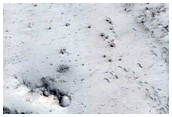 Cratered Cones with Wakes in Tartarus Montes
