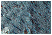 Ausonia Cavus

