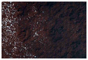 Spiders on Ejecta Blankets
