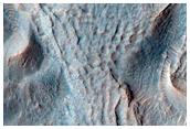 Gully Monitoring
