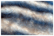 USGS Dune Database Entry Number 1340-620

