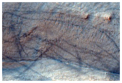 Isolated Gully in Crater in Noachis Region
