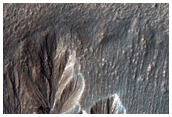 Young-Looking Gullies on Crater Wall
