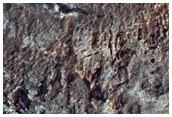 Light-Toned Exposed Terrain in Gorgonum Chaos Basin
