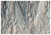 Gully Monitoring
