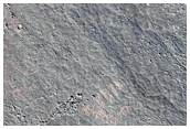 Three Odd Circular Features in Western Elysium Planitia
