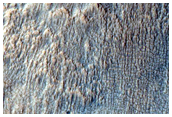 Cross Section of Crater East of Reull Vallis
