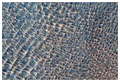 Slope Monitoring for Recurring Slope Lineae
