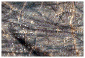 Sinuous Ridge in Argyre Region

