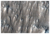 Dusty Flows on Flanks of Olympus Mons
