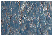 Daedalia Planum
