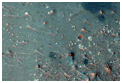 Candidate Landing Site for 2020 Mission in Eberswalde Crater
