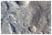 Terrain Sample
