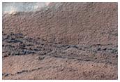 Gully Monitoring
