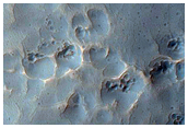 Slope Where New Boulder Tracks Formed
