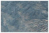 Spider Topography
