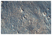 Flow Margin Fracturing Northwest of Elysium Mons
