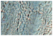 Crater with Bright Bedrock and Bright Gully Fans
