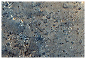 Branched Trough and Pit Feature Associated with Curvilinear Ridge
