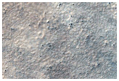 USGS Dune Database Entry Number 1140-654
